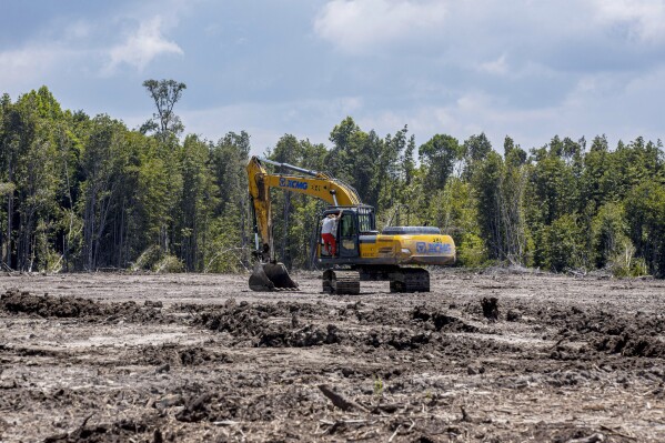 A worker operates a heavy machine at the construction site of the Kalimantan Industrial Park Indonesia (KIPI) in Mangkupadi, North Kalimantan, Indonesia on Thursday, Aug. 24, 2023. The vast industrial park being built on the tropical island of Borneo that has attracted billions of dollars in foreign and domestic investment is damaging the environment in an area where endangered animals live and migrate. (AP Photo/Yusuf Wahil)