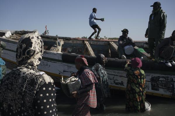 A woman carries a bucket of fish as other women wait for their turn after the arrival of fishermen at the Senegal river in Saint Louis, Senegal, Friday, Jan. 20, 2023. Fishing has long been the community's lifeblood, but the industry was struggling with climate change and COVID-19. (AP Photo/Leo Correa)