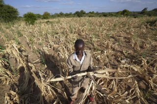 Extreme drought in southern Africa leaves millions hungry 