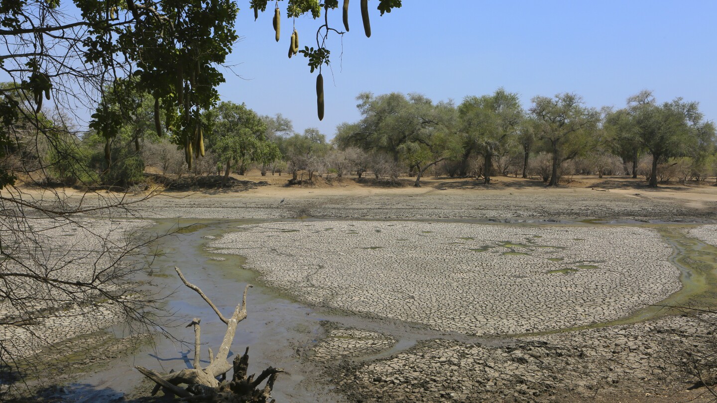 Малави последва Замбия в обявяването на бедствие от суша, тъй като Ел Ниньо носи глад в Южна Африка