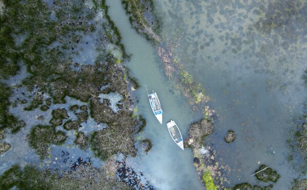 Boats float along the flooded shores of Lake Titicaca in Isla de Cojata, Bolivia, March 9, 2024. The intense rains of recent weeks in Bolivia helped Lake Titicaca, the highest navigable body of fresh water in the world, recover to levels prior to the drought that put it at minimum depth records last year. (AP Photo/Juan Karita)
