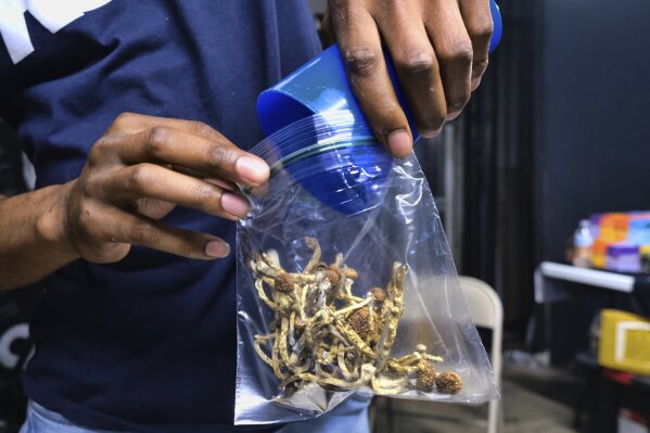 In this Friday, May 24, 2019 photo a vendor bags psilocybin mushrooms at a cannabis marketplace in Los Angeles. Oakland City Council will vote Tuesday, June 4, 2019, to decriminalize the possession and use of entheogenic, or psychoactive, plants and fungi. (AP Photo/Richard Vogel)