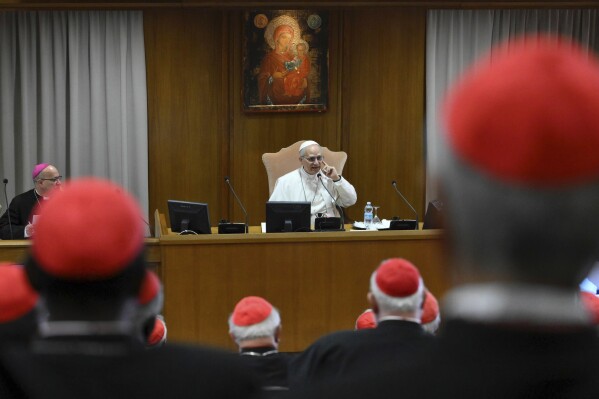 Pope Leo XIV meets the College of Cardinals in the New Synod Hall at the Vatican, Saturday, May 10, 2025. (Vatican Media via AP)