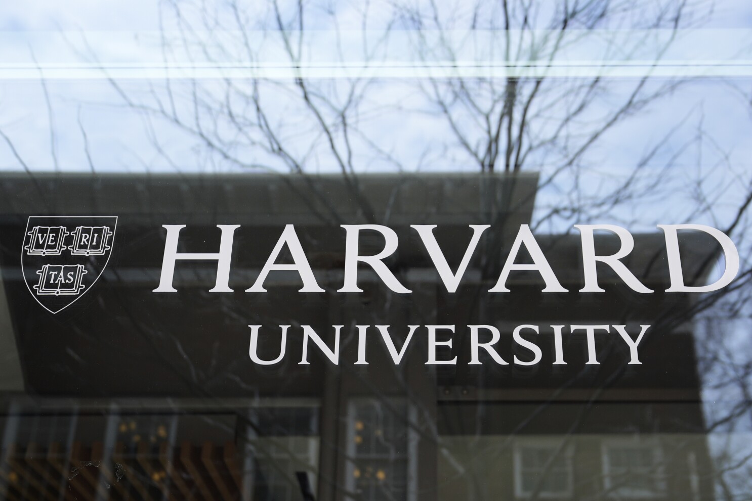 Americans are divided over DEI programs on college campuses, poll finds