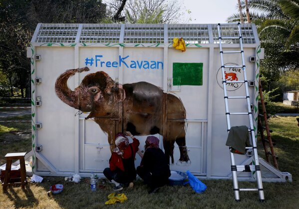 Volunteers paint an image of an elephant named "Kaavan"on a crate to be used to be transported Kaavan to a sanctuary in Cambodia, at the Maragzar Zoo in Islamabad, Pakistan, Friday, Nov. 27, 2020. Iconic singer and actress Cher was set to visit Pakistan on Friday to celebrate the departure of Kaavan, dubbed the “world’s loneliest elephant,” who will soon leave a Pakistani zoo for better conditions after years of lobbying by animal rights groups and activists. (AP Photo/Anjum Naveed)