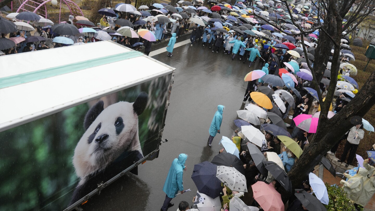 With tears, a crowd of South Koreans bids farewell to beloved panda before her departure to China