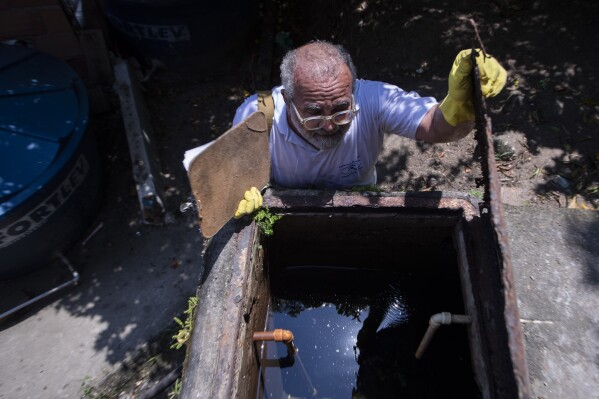 Augusto Cesar, a city worker who combats endemic diseases, inspects a water tank where mosquitoes can breed to eradicate the Aedes aegypti mosquito which can spread dengue in the Morro da Penha favela of Niteroi, Brazil, Friday, March 1, 2024. (AP Photo/Bruna Prado)