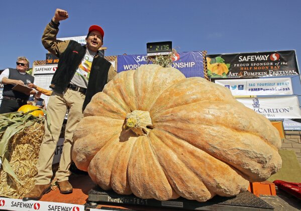 FILE - Leonardo Urena of Napa, Calif., reacts after learning his pumpkin weighed in at 2,175 lbs., a new California weight record on Oct. 14, 2019, in Half Moon Bay, Calif. The Half Moon Bay Art & Pumpkin Festival, now canceled, usually draws up to 300,000 people from around the world. The kick-off event the week before, the World Championship Giant Pumpkin Weigh-Off, will carry on with no public spectators but plenty of humongous orange contestants as the judging goes virtual. (AP Photo/Ben Margot, File)