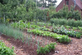 This undated photo shows a vegetable garden in New Paltz, N.Y. A surprisingly large amount of vegetables can be harvested from even a small vegetable garden. (Lee Reich via AP)