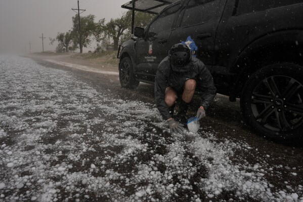 Tony Illenden crouches in a helmet and gloves outside Northern Illinois University's Husky Hail Hunter to scoop hail into a bag while in a hailstorm during a Project ICECHIP operation Friday, June 6, 2025, in Levelland, Texas. (AP Photo/Carolyn Kaster)