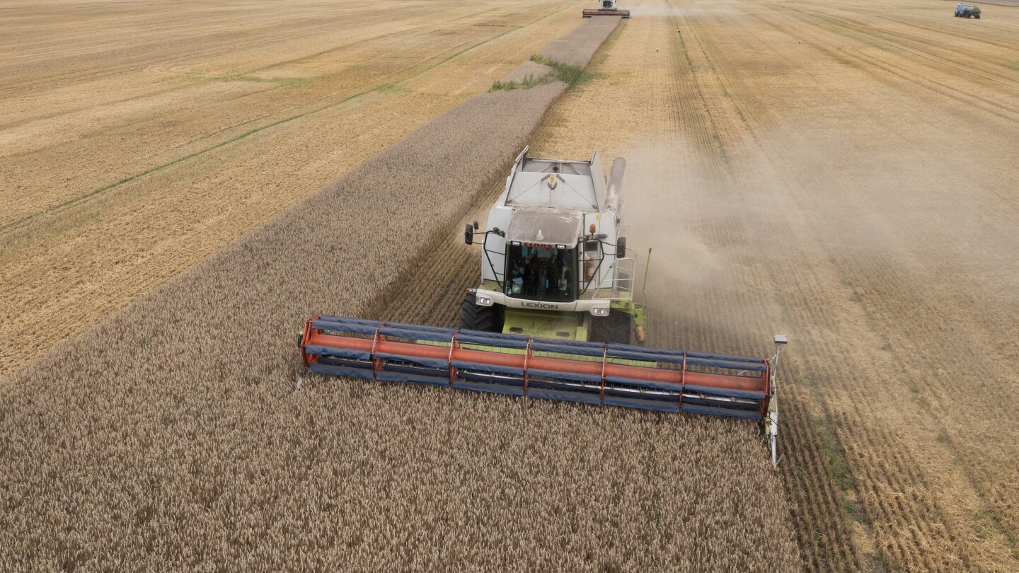 ロシアがウクライナの穀物取引を撤回することを脅かし、世界の食料安全保障への懸念が高まっています。