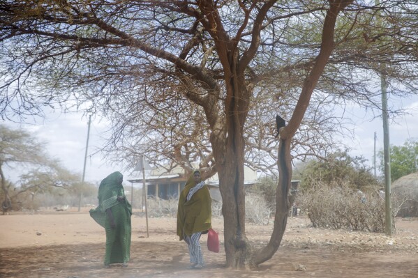 FILE - Women shelter under a tree as a dust storm moves across the village of Bulla Hagar in northern Kenya, Aug. 19, 2022. Scientists say by far the biggest cause of the recent extreme warming is human-caused climate change and a natural El Nino. But some say there’s got to be something more. (AP Photo/Brian Inganga, File)