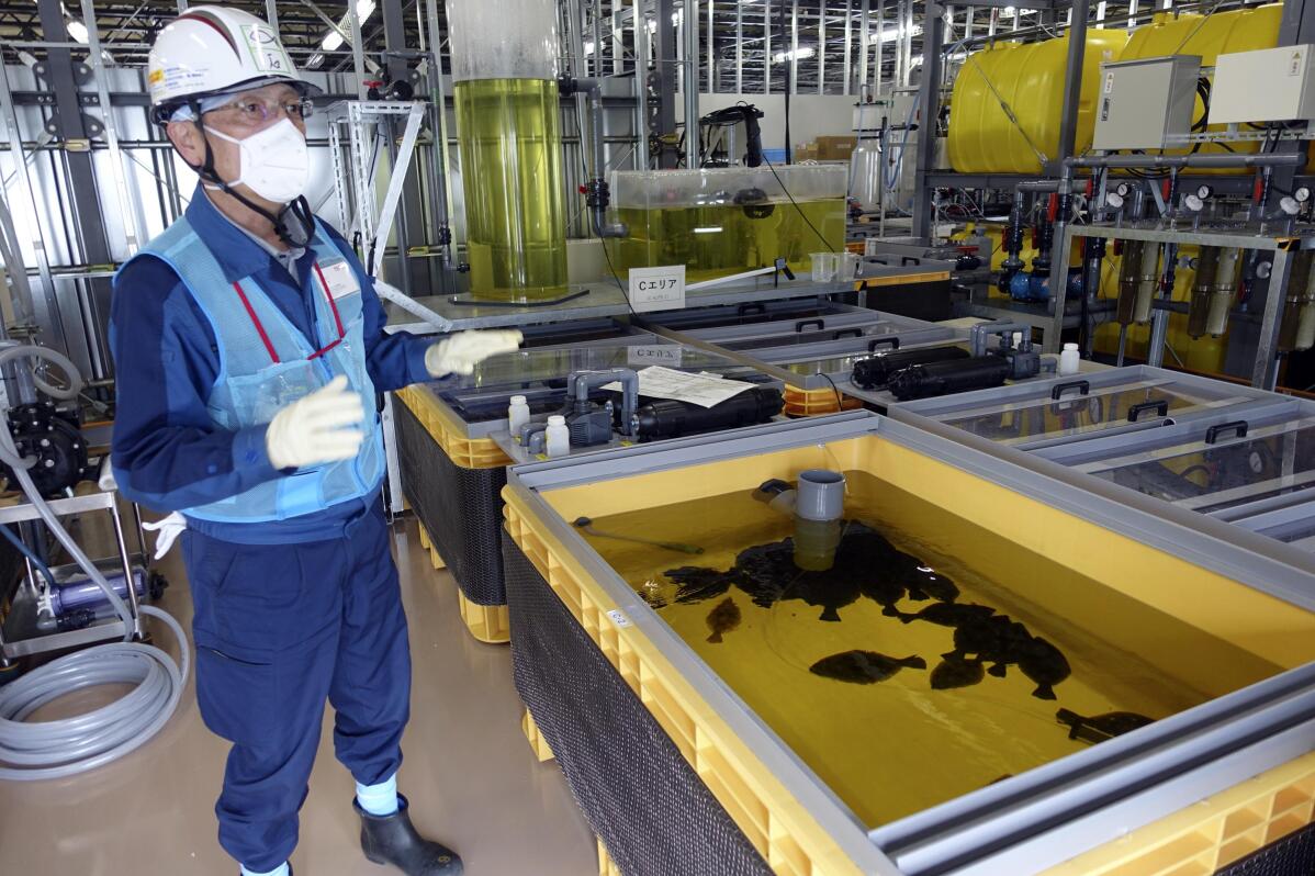 What’s happening at Fukushima plant 12 years after meltdown? | AP News