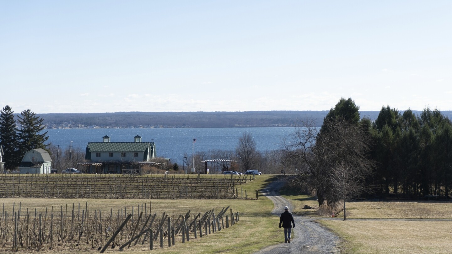 Vineyards in NY Wine Country натискат устойчивостта, докато се адаптират към изменението на климата 