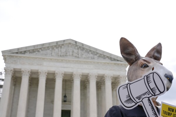 A demonstrator stands outside the Supreme Court as the justices prepare to hear arguments over whether Donald Trump is immune from prosecution in a case charging him with plotting to overturn the results of the 2020 presidential election, on Capitol Hill Thursday, April 25, 2024, in Washington. (AP Photo/Mariam Zuhaib)