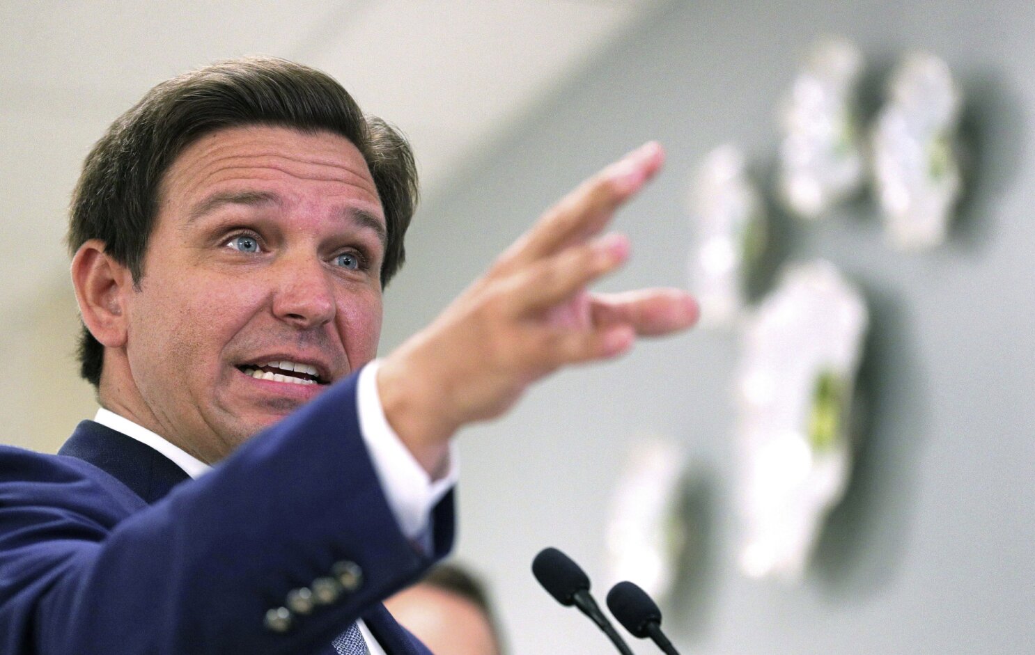 55 Things You Need to Know About Ron DeSantis - POLITICO