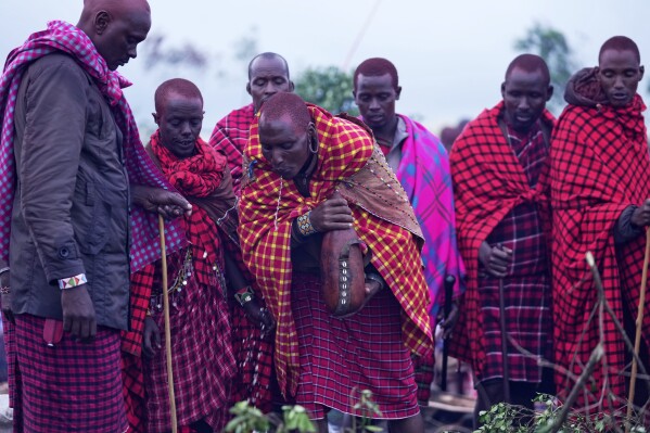 Men of the Maasai tribe perform a ritual, during the Enkipaata ceremony, a Maasai male rite of passage, specifically the initiation of boys, marking the transition from childhood to becoming a moran (warrior) in Olaimutiai, Narok County, Kenya Wednesday, April 23, 2024. (AP Photo/Brian Inganga)