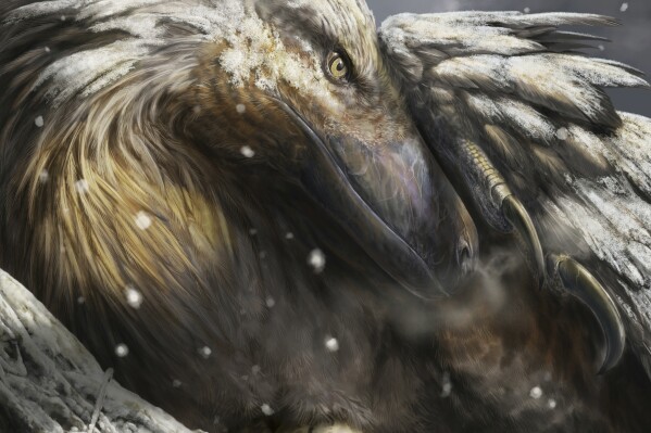 This illustration provided by the University of Vigo and University College London, depicts a dromaeosaur incubating its eggs as snow falls. The raptor, along with other select dinosaurs, may have evolved to be warm-blooded 180 million years ago, generating their own body heat to withstand chilly temperatures, according to research published in the journal Current Biology Wednesday, May 15, 2024. (Davide Bonadonna/University of Vigo/University College London via Ǻ)