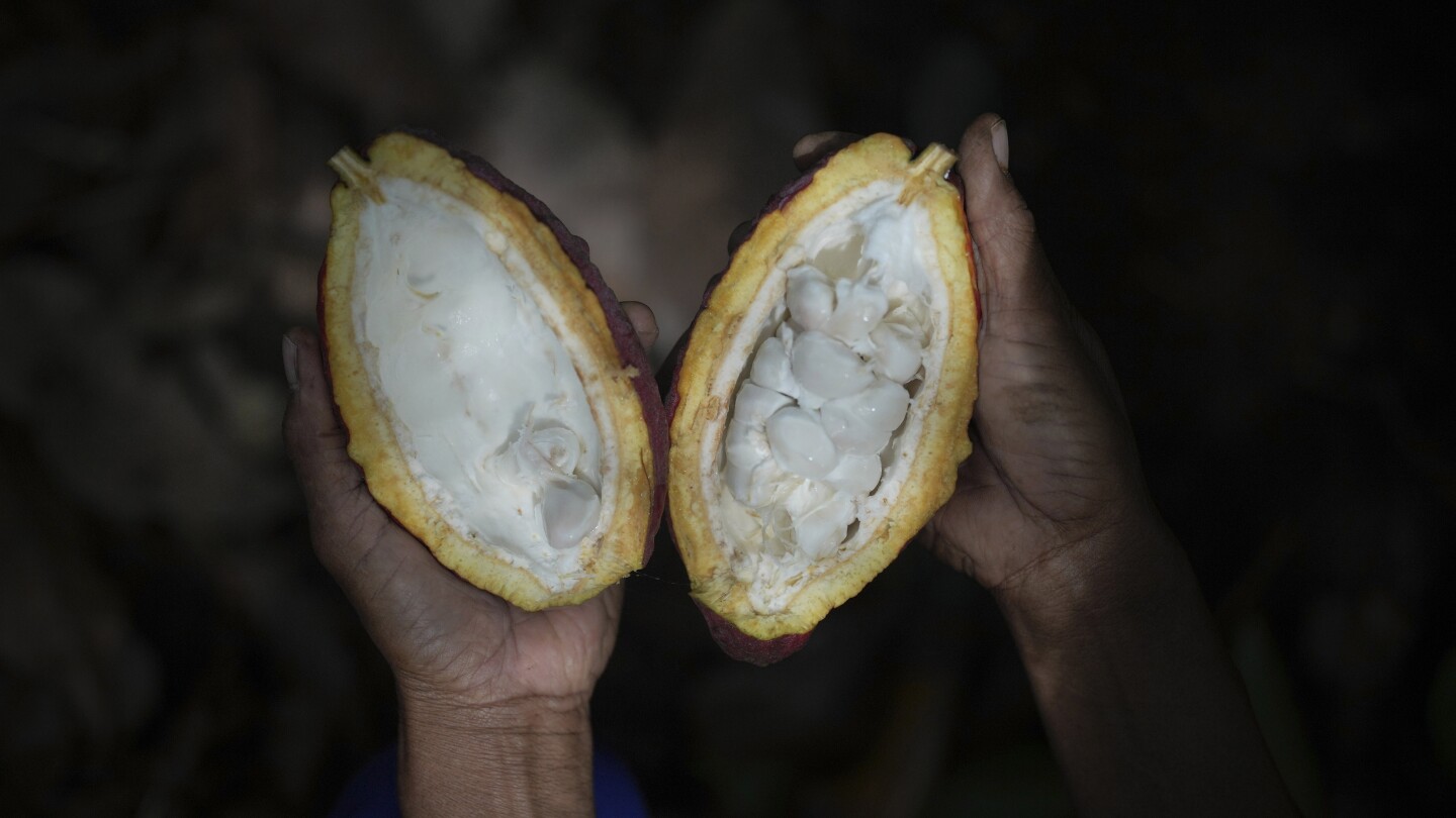 Indonesian farmers fight the bitter impact of climate change
