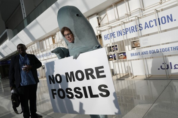 Alice McGown houdt een bordlezing vast "geen fossielen meer" terwijl hij verkleed was als doejong op de COP28 VN-klimaattop, zondag 3 december 2023, in Dubai, Verenigde Arabische Emiraten.  (AP-foto/Peter Dejong)