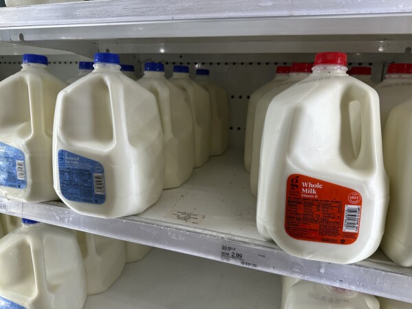 FILE - Gallons of reduced fat and whole milk sit on display in a refrigerated case in a Target store April 29, 2024, in Littleton, Colo. Target plans on cutting prices on thousands of consumer basics this summer, goods ranging from diapers to milk, with more Americans paying closer attention to their spending as inflation cuts into household budgets. (AP Photo/David Zalubowski, File)