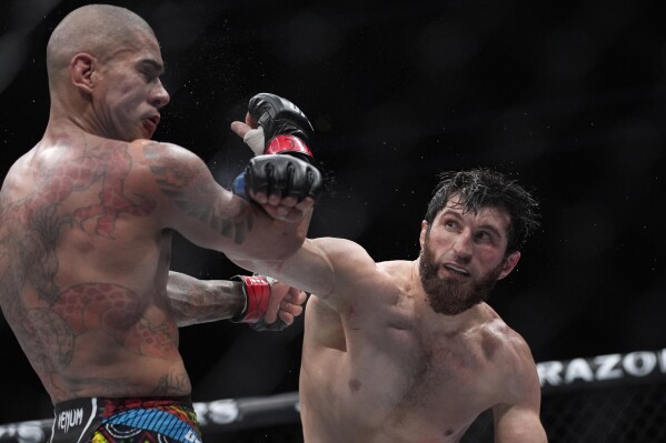 Magomed Ankalaev wins undisputed light heavyweight belt with unanimous decision over Alex Pereira |
