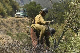 In this photo provided by the California Interagency Willow Fire Incident, firefighters work in steep terrain at the Willow Fire near Big Sur, Calif., on Sunday, June 20, 2021. Dozens of wildfires were burning in hot, dry conditions across the U.S. West. In California, firefighters still faced the difficult task of trying to contain a large forest fire in rugged coastal mountains south of Big Sur that forced the evacuation of a Buddhist monastery and nearby campground. (California Interagency Willow Fire Incident via AP)