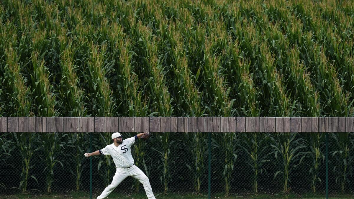 DEKALB partners with MLB for Field of Dreams Game - Brownfield Ag News