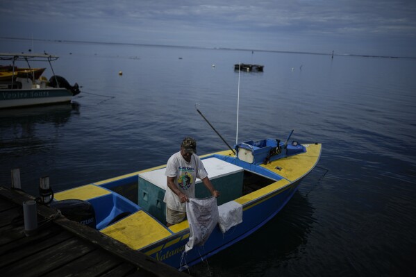 Fisher Gerard Aurentz prepares to go out in Vairao, Tahiti, French Polynesia, Thursday, Jan. 11, 2024. (AP Photo/Daniel Cole)
