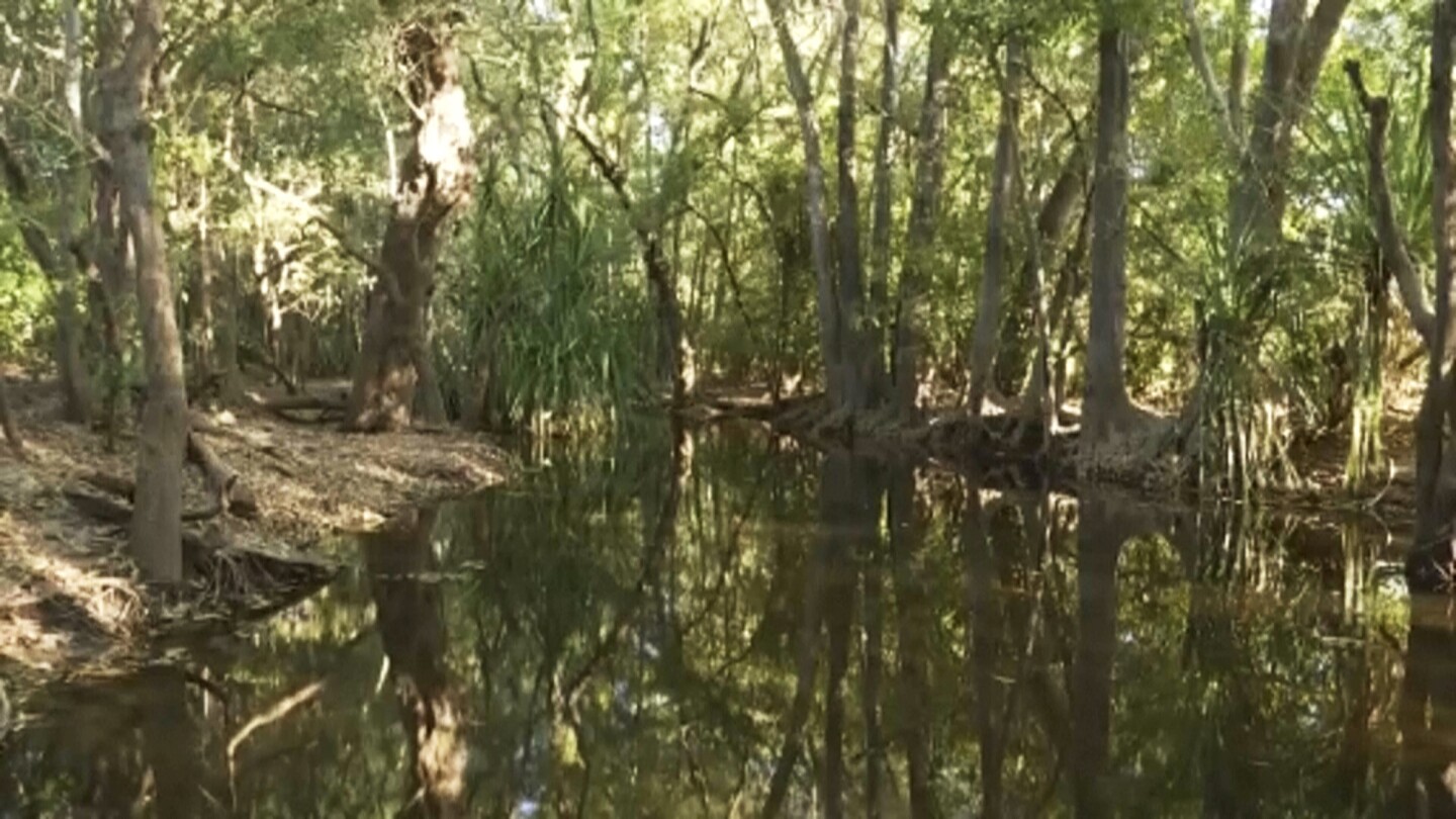 12-Year-Old Girl's Tragic Death Confirmed as Crocodile Attack in Northern Territory, Australia