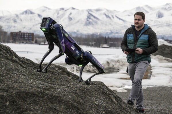 Alaska Department of Transportation program manager Ryan Marlow demonstrates the agency's robotic dog in Anchorage, Alaska, on March 26, 2024. The device will be camouflaged as a coyote or fox to ward off migratory birds and other wildlife at Alaska's second largest airport, the DOT said. (Marc Lester/Anchorage Daily News via AP)