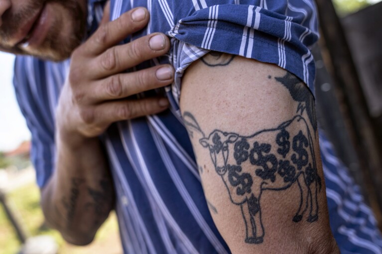 Miguel Vidal shows off his cow tattoo at his restaurant, Valentina's Tex Mex BBQ, in between smoking slabs of ribs and brisket in Austin, Texas, Saturday, April 22, 2023. Later in the year, the restaurant re-opened in Buda, a suburb south of the capital. Growing up in San Antonio, Vidal said beef was the centerpiece of weekend family gatherings, with his dad, grandfather and uncle at the barbecue pit. It was those meals that he tries to recreate and elevate at his restaurant. (AP Photo/David Goldman)