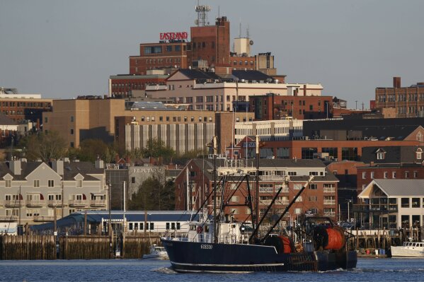 FILE - In this May 21, 2020, file photo a fishing trawler arrives in Portland, Maine. The amount of commercial fishing taking place worldwide has dipped since the start of the coronavirus pandemic. The lack of fishing has also spurred questions about food security, ocean management and global trade around the world. (AP Photo/Robert F. Bukaty)