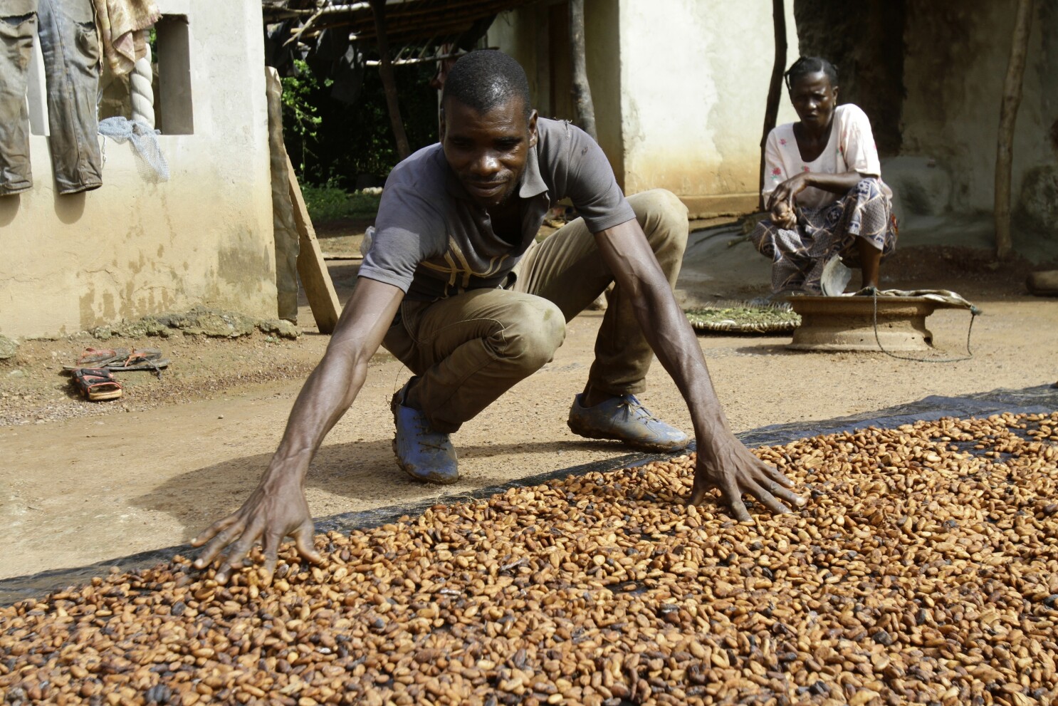 Aranceles de EEUU preocupan a agricultores de cacao de Costa de Marfil