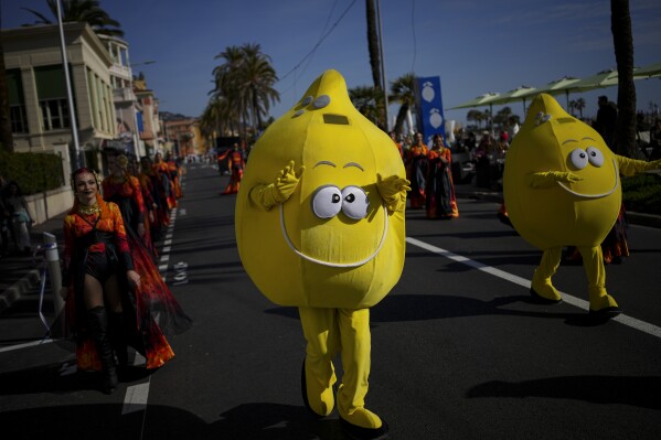 A carnival worker dressed as a lemon dances in the street during the 90th Olympia in Menton edition of the Lemon Festival in Menton, southern France, Saturday, Feb. 17, 2024. (AP Photo/Daniel Cole)