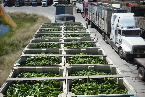 This 2021 image provided by U.S. Customs and Border Protection shows a truckload of green chiles waiting to be inspected at the port of entry at Columbus, N.M. Border authorities said Monday, Sept. 12, 2022, that they are assigning more agricultural specialists to the port to handle the increase in chile imports. (US Customs and Border Protection via AP)