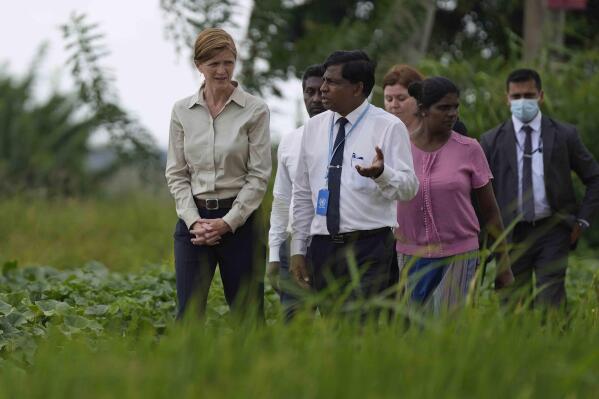 USAID administrator Samantha Power, left, speaks with agriculture specialists of UN's FAO and rice farmers during a visit to a paddy field in Ja-Ela on the outskirts of Colombo, Sri Lanka, Saturday, Sept. 10, 2022. (AP Photo/Eranga Jayawardena)