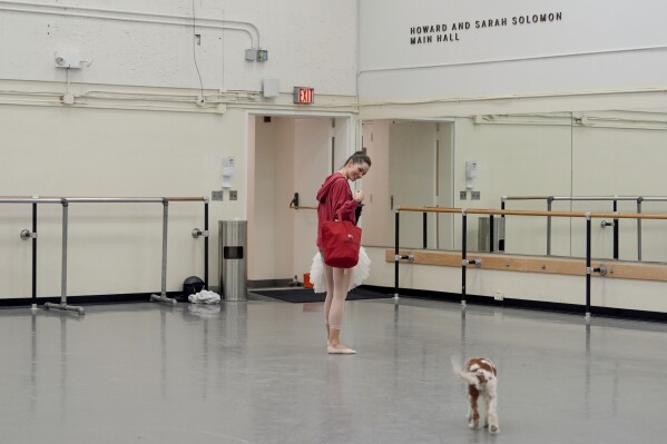 Unity Phelan and dog Pippin leave after a rehearsal for Phelan's role as Swan Queen in New York City Ballet's "Swan Lake," Tuesday, Feb. 25, 2025, in New York. (AP Photo/Julia Demaree Nikhinson)