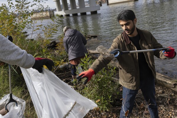 2023年11月15日，星期三，华盛顿阿纳卡斯蒂亚公园，志愿者在公园清理期间收集垃圾。几十年来，阿纳卡斯蒂亚一直被视为工业废物、雨水管和垃圾的市政倾倒场。这种污染在很大程度上影响了河流交汇处的有色人种群落。（美联社照片/汤姆·布伦纳）