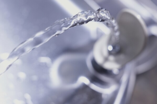 A public water fountain is seen Friday, March 28, 2025, in Grosse Pointe Park, Mich. (AP Photo/Paul Sancya)
