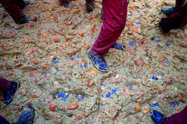 Smashed oranges are scattered on the ground during the "Battle of the Oranges" where people pelt each other with oranges as part of Carnival celebrations in the northern Italian Piedmont town of Ivrea, Italy, Tuesday, Feb. 13, 2024. (AP Photo/Antonio Calanni)