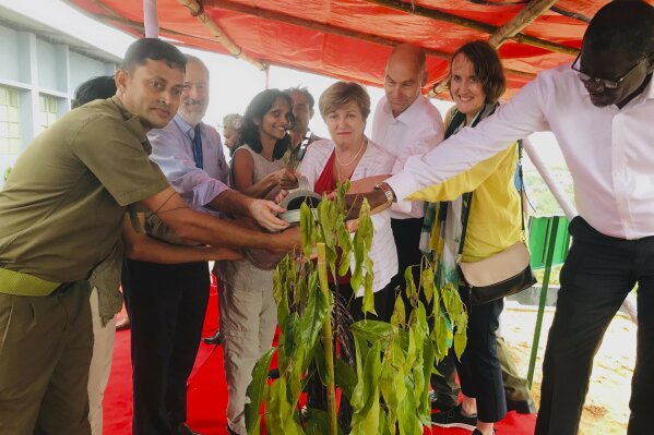 In this Wednesday, July 10, 2019 photo, World Bank’s Chief Executive Officer Kristalina Georgieva,center, along with other commissioners of the Global Commission on Adaptation to climate change, plants a tree inside the Rohingya refugees Co-ordination office at 
 the southern coastal district of Cox's Bazar, Bangladesh. Former U.N. Secretary-General Ban Ki-moon who was visiting along with Georgieva has expressed concern that monsoon floods could threaten the lives of Rohingya refugees in sprawling camps in Bangladesh. Georgieva praised Bangladesh's progress in reducing damage and deaths from the monsoon season floods. (AP Photo/ Al-emrun Garjon)