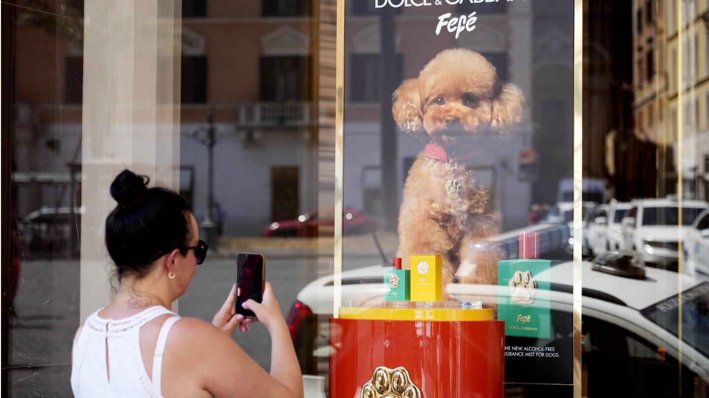 Dolce & Gabbana launches a new perfume for dogs, but some veterinarians and pet owners are skeptical