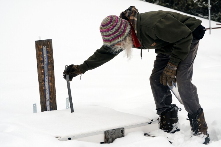 Billy Barr measures the depth of new snow that has fallen onto his snow board Wednesday, March 13, 2024, in Gothic, Colo. So-called “citizen scientists” like Barr have long played important roles in gathering data to help researchers better understand the environment. His once hand-recorded measurements have informed numerous scientific papers and helped calibrate aerial snow sensing tools. (AP Photo/Brittany Peterson)