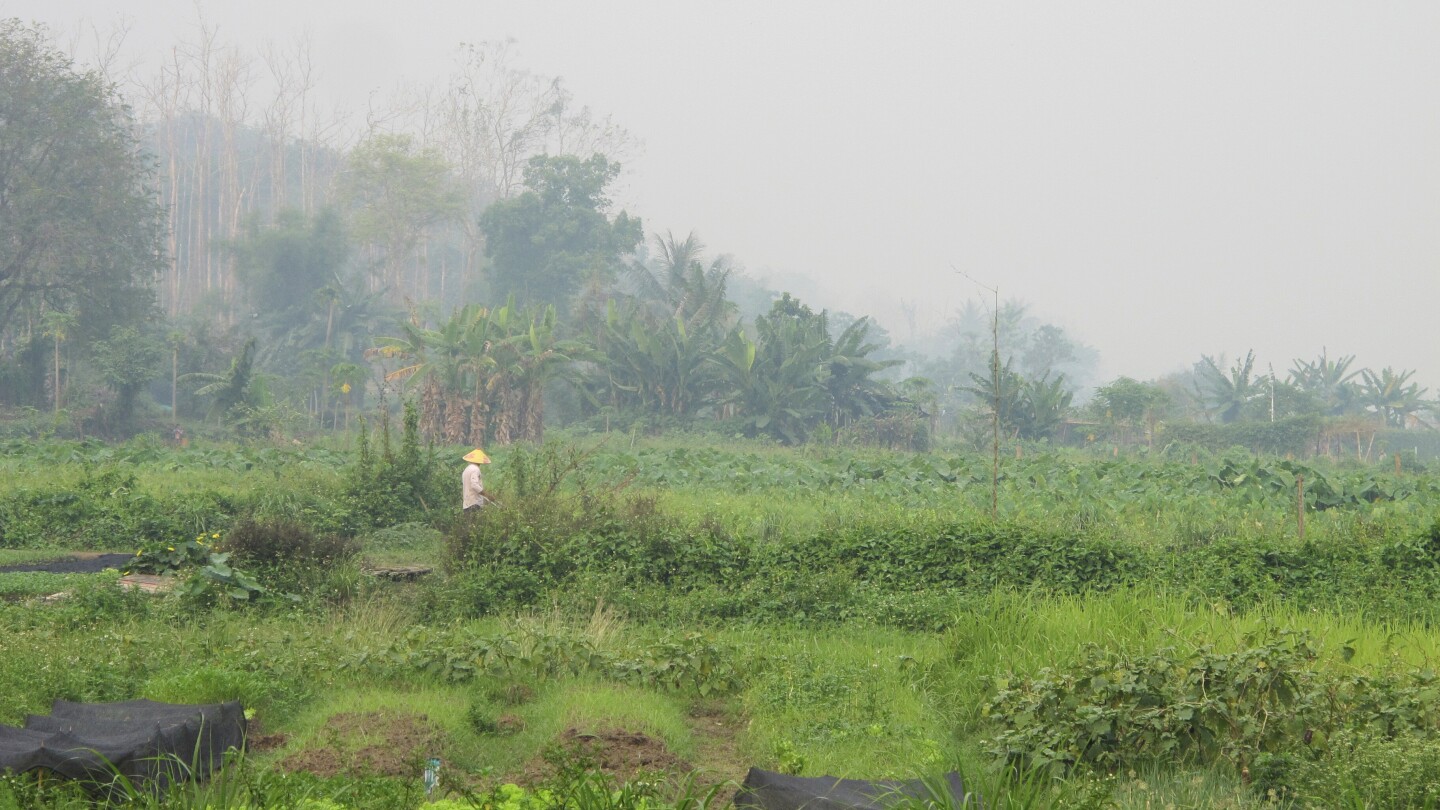 Държавите от Югоизточна Азия обмислят начини за стимулиране на „зеленото финансиране“, тъй като регионът се задъхва от смог