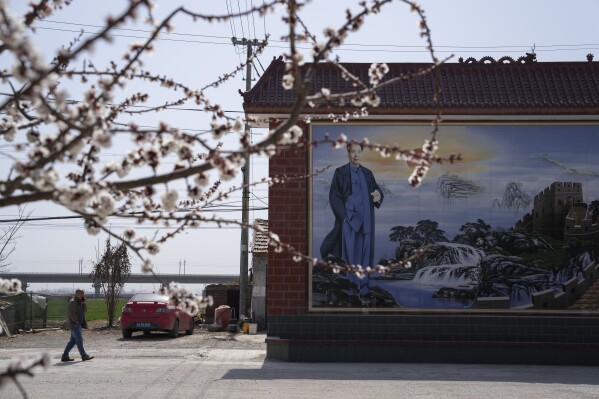 Solar panel installer Wang Xingyong walks near a mural depicting revolutionary leader Mao Zedong and cherry blossoms in the rural outskirts of Jinan in eastern China's Shandong province on March 21, 2024. Wang installs and maintains rooftop solar panels for clients ranging from villagers to factories, and said his business has doubled every year since 2016. (AP Photo/Ng Han Guan)