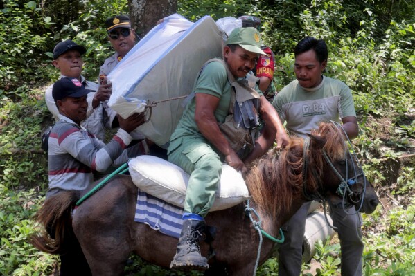 Electoral workers assist a colleague to mount a horse to distribute ballot boxes and other election paraphernalia to polling stations in remote villages in Andongrejo, East Java, Indonesia, Tuesday, Feb. 13, 2024. Indonesia, the world's third-largest democracy, will open its polls on Wednesday, Feb. 14, to nearly 205 million eligible voters in presidential and legislative elections, the fifth since Southeast Asia's largest economy began democratic reforms in 1998. (AP Photo/Trisnadi)