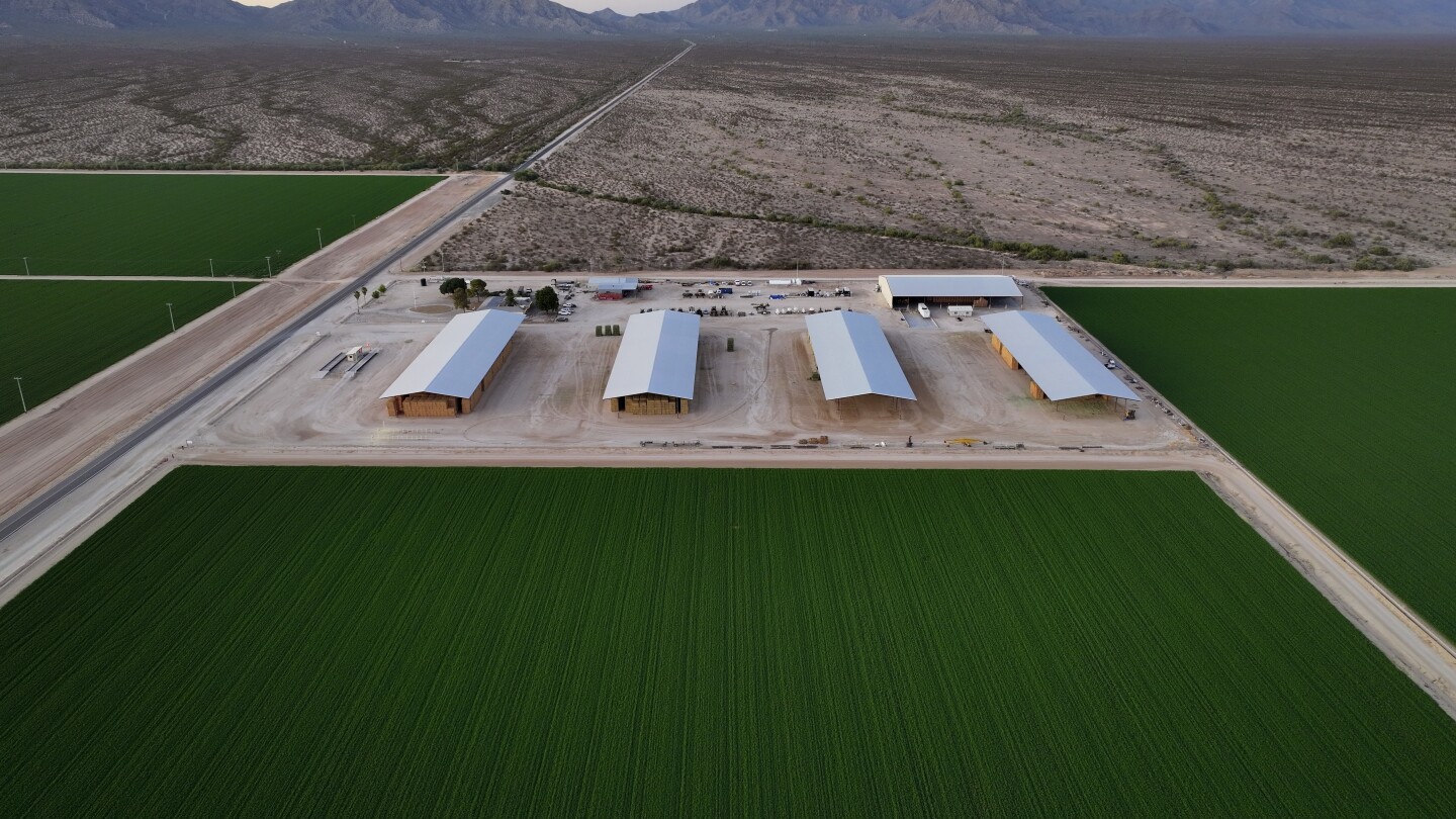 Tensions build at Arizona farms as foreign firms exploit unregulated water