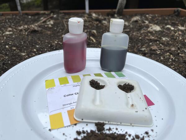 For healthy plants, test your garden's soil for pH level