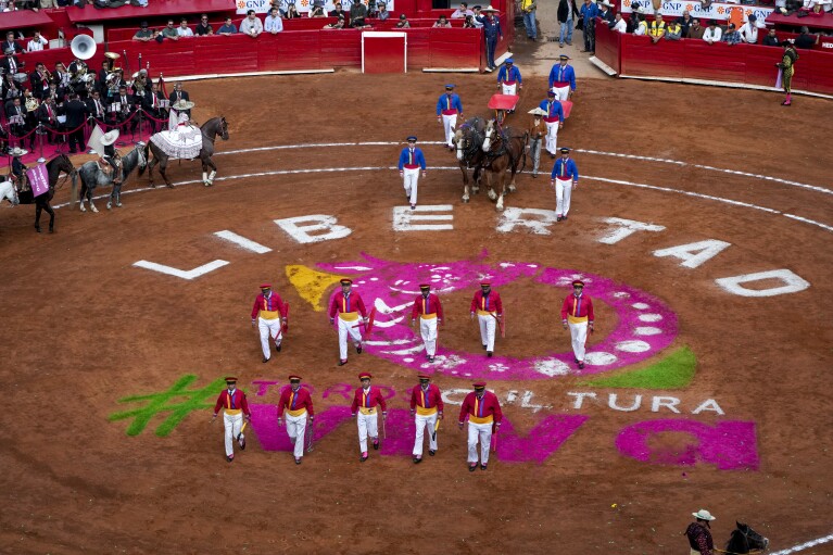 Bullfighters assistants parade during a bullfight at the Plaza Mexico, in Mexico City, Sunday, Jan.  28, 2024. (AP Photo/Fernando Llano)